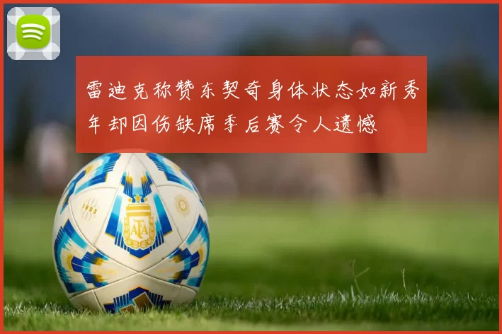 雷迪克称赞东契奇身体状态如新秀年却因伤缺席季后赛令人遗憾