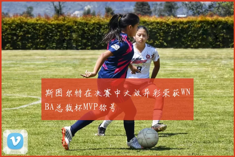 斯图尔特在决赛中大放异彩荣获WNBA总裁杯MVP称号