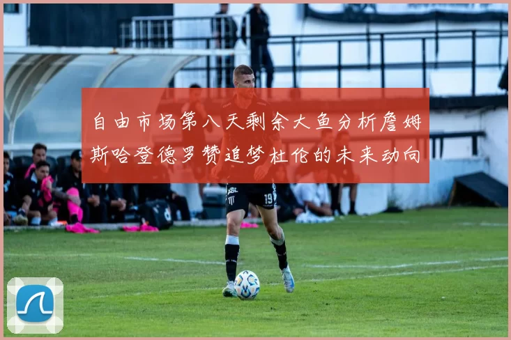 自由市场第八天剩余大鱼分析詹姆斯哈登德罗赞追梦杜伦的未来动向