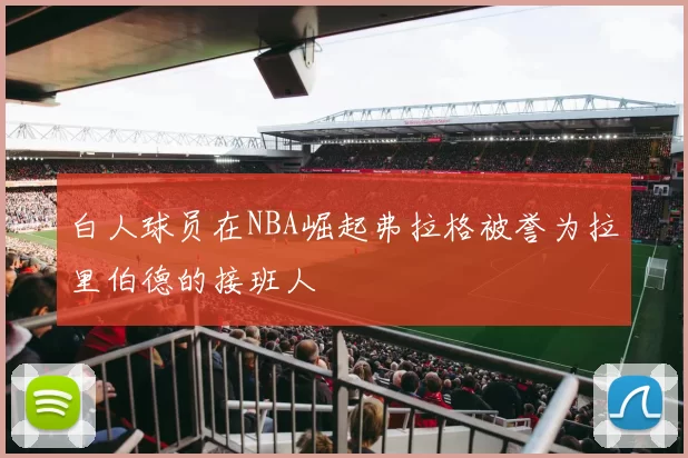 白人球员在NBA崛起弗拉格被誉为拉里伯德的接班人